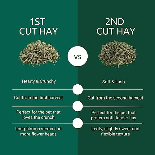 Kaytee 2nd Cut Soft and Lush Timothy Hay for Pet Guinea Pigs, Rabbits & Other Small Animals, 6.5 Pound