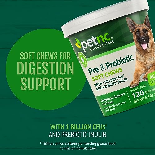 PetNC Natural Care Liver Flavor,Cheese Pre & Probiotic Soft Chews for Dog 120 ct (Pack of 1)