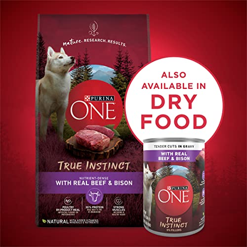 Purina ONE High Protein Wet Dog Food True Instinct Tender Cuts in Dog Food Gravy with Real Beef and Bison - (12) 13 oz. Cans