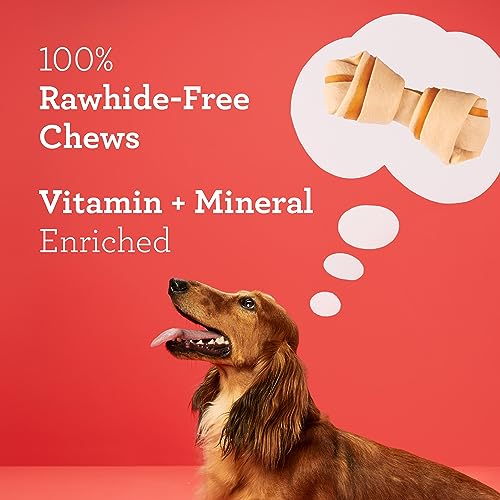 Dreambone Vegetable & Chicken Dog Chews, Rawhide Free, Mini, DBC-02028, 36 Count(Pack of 1)