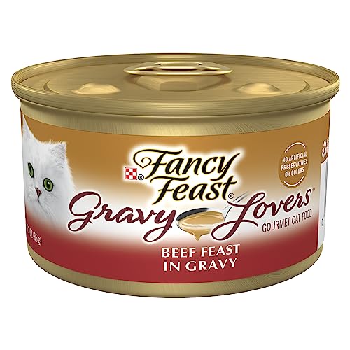 Purina Fancy Feast Gravy Lovers Salmon Feast Gourmet Cat Food in Wet Cat Food Gravy - (24) 3 oz. Cans