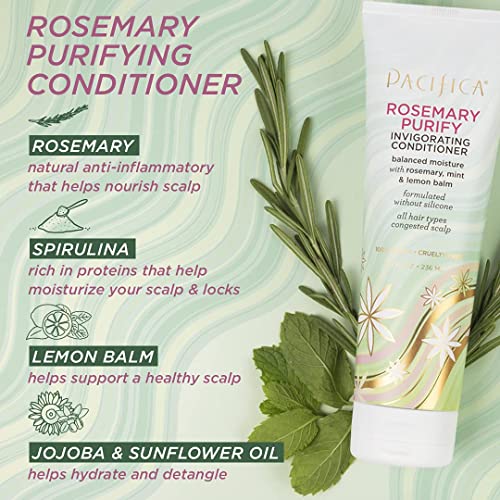 Pacifica Beauty, Rosemary Purify Invigorating Shampoo + Conditioner Set, Cooling Mint, Detox Scalp and Hair From Product Buildup & Excess Oil, Sulfate + Silicone Free, Vegan & Cruelty Free,
