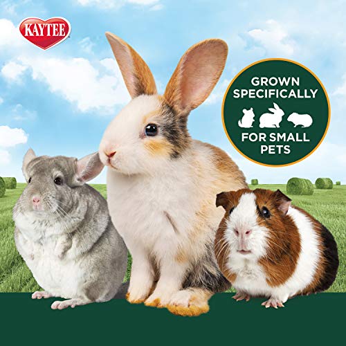 Kaytee Wafer Cut All Natural Timothy Hay for Pet Guinea Pigs, Rabbits & Other Small Animals, 60 Ounce