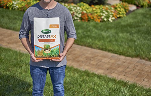 Scotts DiseaseEx Lawn Fungicide, Controls and Prevents Disease Up to 4 Weeks, Treats Up to 5,000 sq. ft., 10 lbs.