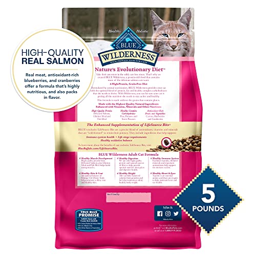 Blue Buffalo Cat Food, Natural Chicken Recipe, High Protein, Adult Dry Cat Food, 12 lb bag
