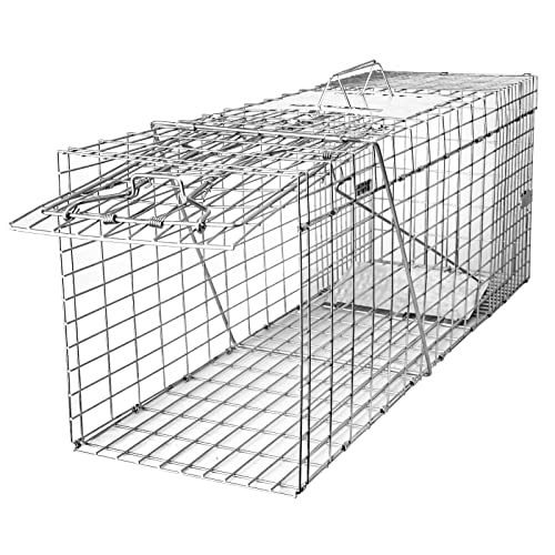 SZHLUX 32 Live Animal Cage Trap, Heavy Duty Folding Raccoon Traps, Humane Cat Trap for Stray Cats, Raccoons, Squirrel, Skunk, Mole, Groundhog, Armadillo, Rabbit, Catch and Release(SZ-HXL8130-NEW).