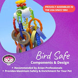Super Bird Creations SB1107 Bagel Cascade Bird Toy, Large Bird Size, Refillable Bagels, 15” x 4.5”