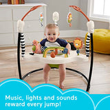 Fisher-Price Baby Bouncer Animal Activity Jumperoo With Music Lights Sounds And Developmental Toys For Infants
