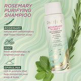 Pacifica Beauty, Rosemary Purify Invigorating Shampoo + Conditioner Set, Cooling Mint, Detox Scalp and Hair From Product Buildup & Excess Oil, Sulfate + Silicone Free, Vegan & Cruelty Free,