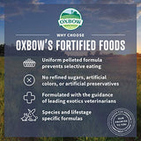 Oxbow Essentials Adult Rat Food - All Natural Adult Rat Food - Veterinarian Recommended- Made in the USA- Rich in Natural Vitamins & Minerals- No Artificial Ingredients- 3 lb.