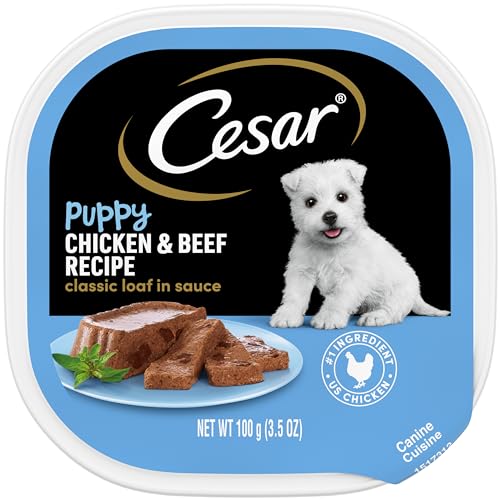 CESAR Puppy Soft Wet Dog Food Classic Loaf in sauce Chicken & Beef Recipe, 3.5 Ounce (Pack of 24) Easy Peel Trays