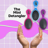 Wet Brush Multi-Pack Squirt Detangler Hair Brushes - Pink, Purple & Blue, 3-Pack - Mini Detangling Brush with Soft IntelliFlex Bristles - Pain-Free Hair Brush for Curly & Thick Hair - Women & Men