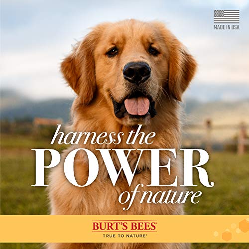 Burts Bees for Pets Dogs Natural Eye Wash with Saline Solution | Eye Wash Drops for Dogs Or Puppies | Eliminate Dirt and Debris from Dog Eyes with Dog Eye Rinse, 4oz