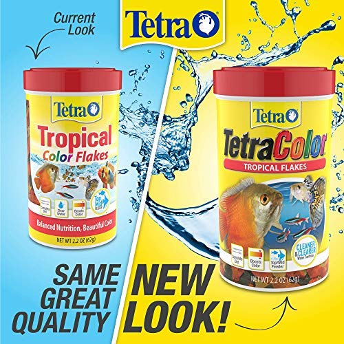 Tetra ColorPlus Fish Food Flakes, Tropical Flakes With Natural Color Enhancers, 7.06 Ounce